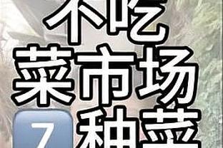 开云app平台截图4